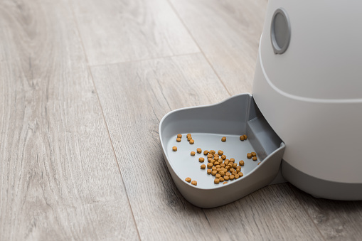 automatic pet food dispenser on floor at home. smart pet feeder controlled remotely via an app on phone. Pet care