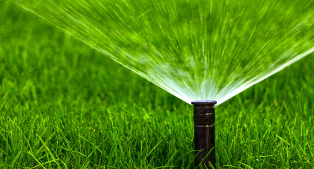 automatic-sprinkler-system-watering-the-lawn-on-a-background-of-green-picture-id873336460