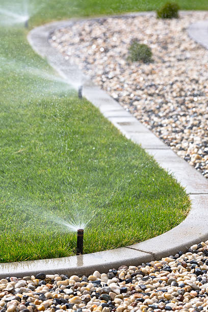 Automatic sprinklers on the grass stock photo