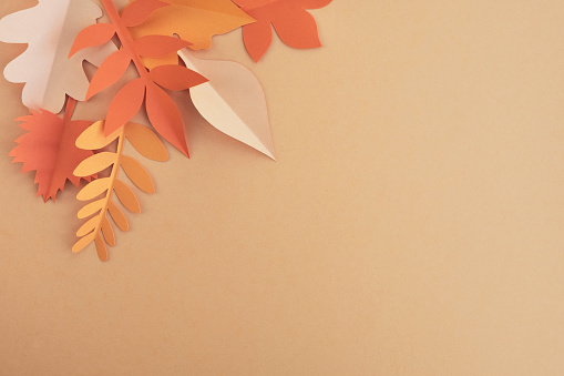 Decorative orange paper leaves. Greeting card, thanksgiving day concept. Top view, flat lay, copy space