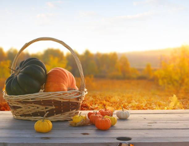 秋の背景に紅葉、カボチャ。収穫または感謝祭の背景 - wood table ストックフォトと画像