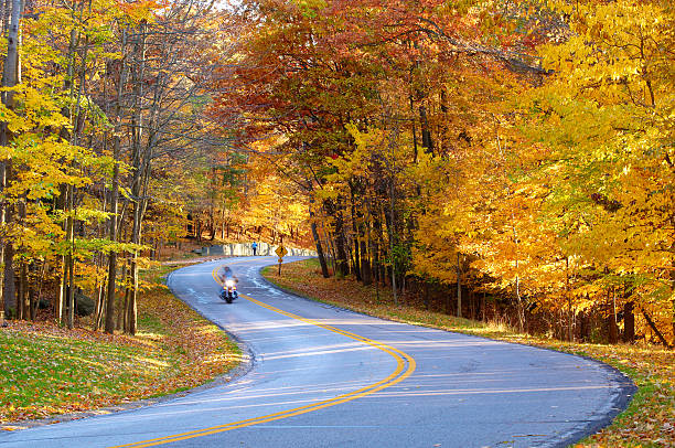Autumn biker stock photo