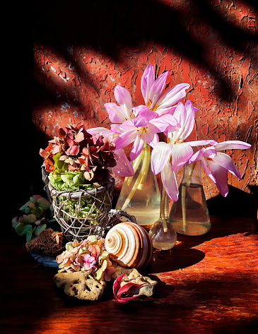 Autumn bouquet in a glass flask with Colchicum flowers, dry hydrangea flowers, sea shell and wild grape leaves in the rays of sunlight on an old rusty background