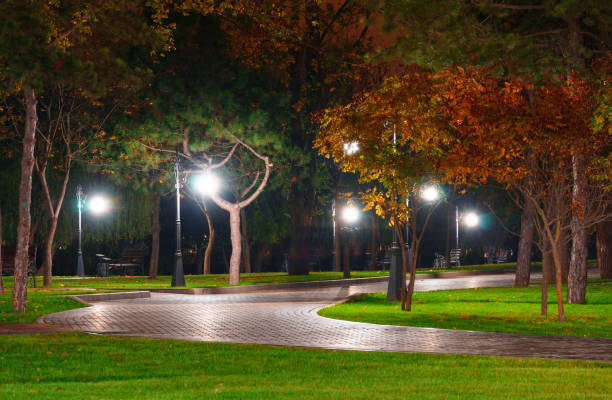 autumn city park at night, trees with yellow leaves, street lights and benches stock photo