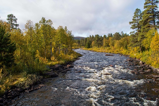 Autumn colors along the Skjela river in Langsua National Park, Norway