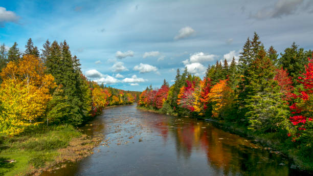 Autumn colors in Cape Breton stock photo