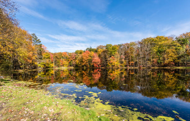 Autumn Colors in the Pocono Mountains stock photo