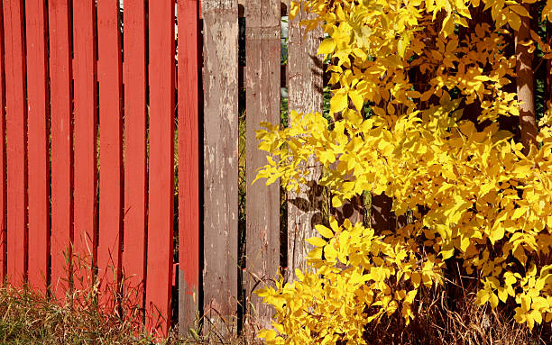 Autumn Colors stock photo
