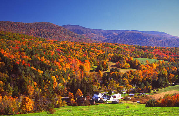 Autumn Colors Autumn foliage in the Bershire Hills region of Massachusetts. Photo taken from a scenic viewpoint of the Mount Greylock Range during the peak fall foliage season. The Berkshires region enjoys a vibrant tourism industry based on music, arts, and recreation. massachusetts stock pictures, royalty-free photos & images