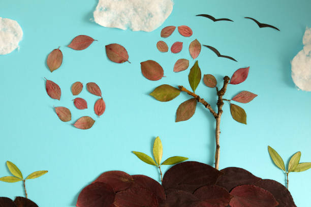 Photo of Autumn concept background