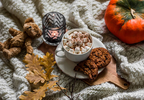 Autumn cozy still life - cocoa with marshmallow, chocolate cookies, yellow oak leaves branch, teddy bear toy, candle on a cozy knitted blanket, top view stock photo