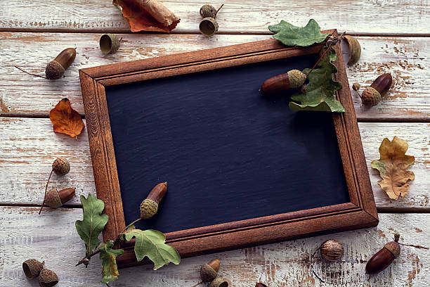 Autumn decoration - acorn with  chalk board menu stock photo