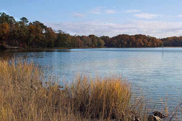 Autumn estuary Scene along the Chesapeake Bay with Trees stock photo