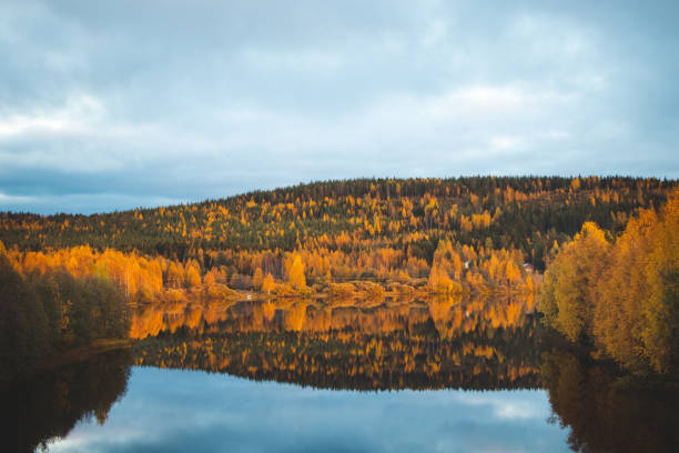 Autumn fairy tale in Kainuu, Finland. The colourful deciduous trees play with all their colours and reflect on the lake surface on a cloudy day. Orange, Green, blue colours stock photo