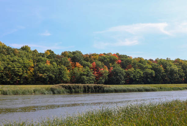 Autumn foliage along the Genesee river, Rochester, New York stock photo