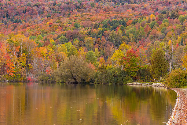 Autumn foliage and reflection in Vermont, Elmore state park Autumn foliage and reflection in Vermont, Elmore state park. elmore stock pictures, royalty-free photos & images