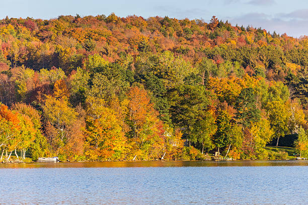 Autumn foliage in Vermont, Elmore state park Autumn foliage in Vermont, Elmore state park. elmore stock pictures, royalty-free photos & images
