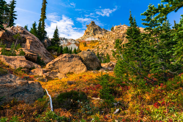 Autumn Forest Clearing with Rugged Granite Peak High Above A red rock granite peak is seen high above the autumn colors and wildflowers of a forest clearing. Boulders surround the clearing suggest that landslides are common off of the peak. Orange-yellow grass is spotted with red foliage and wildflowers stretches up towards the blue sky. alpine lakes wilderness stock pictures, royalty-free photos & images