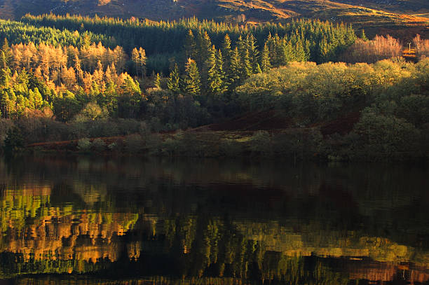 Autumn forrest reflection Loch Ness stock photo