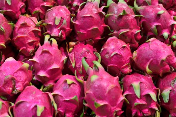 Autumn fruits and vegetables-pitaya stock photo