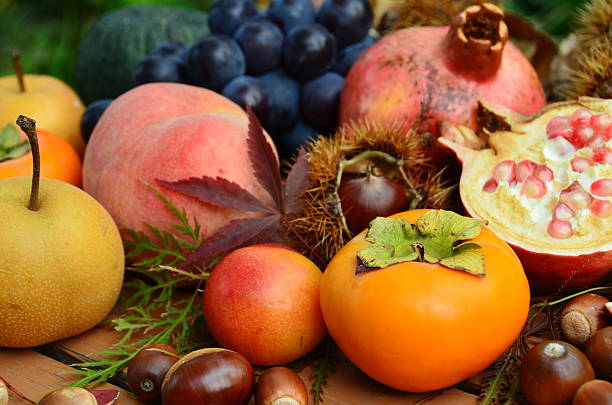 autumn fruits stock photo