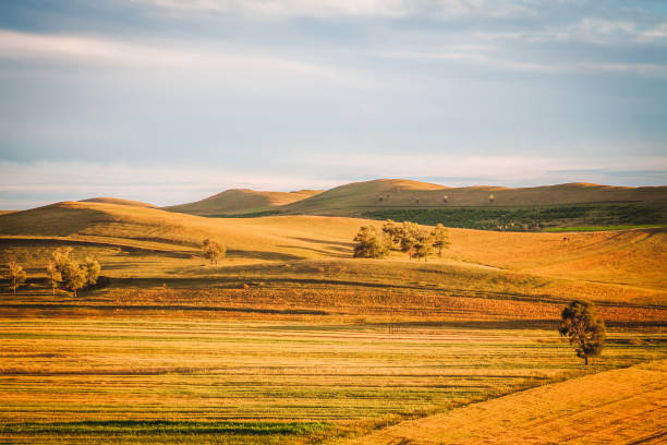 Autumn grasslands  of Inner Mongolia stock photo