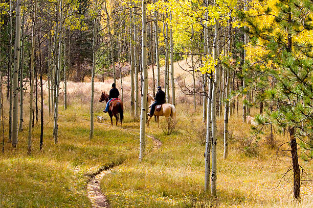 Autumn Horseback Riding stock photo