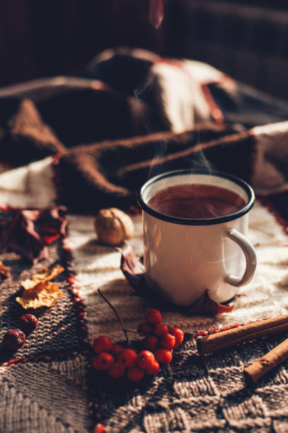 Autumn hot steaming cup of coffee or tea. Hot steaming cup of coffee or tea with fall leaves and spices on a warm plaid on a bright Sunny day. Autumn mood. sunday coffee stock pictures, royalty-free photos & images