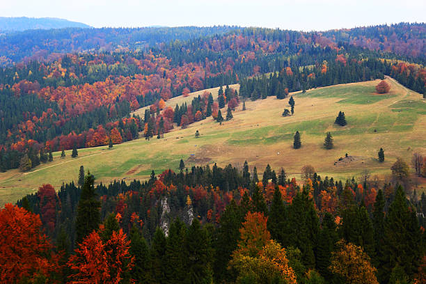 Autumn in Mountains. Pieniny, Poland. stock photo