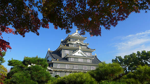 Resultado de imagem para castelo Okayama
