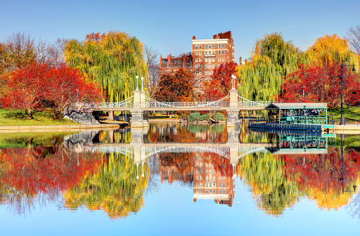 The Boston Public Garden, is a large park in the heart of Boston, Massachusetts, adjacent to Boston Common.