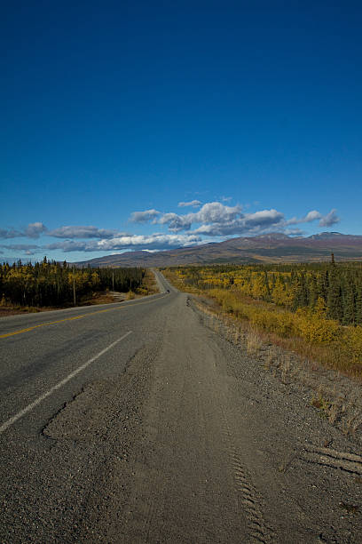 Autumn in the Yukon, Canada Along the Alaska Highway in the Yukon, Canada yt stock pictures, royalty-free photos & images