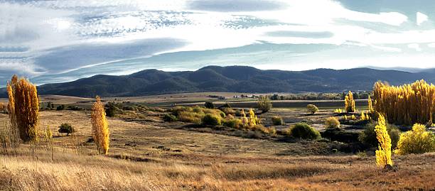 Autumn Landscape in Australian High Grazing Country Panorama showing autumn trees and grassland in the Monaro region of New South Wales (Australia) high country stock pictures, royalty-free photos & images