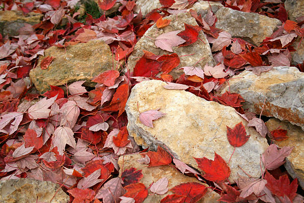 Autumn Landscape stock photo
