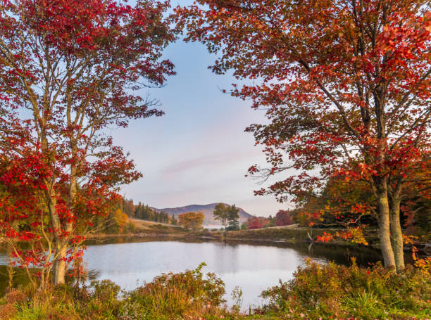 Autumn landscape scene with trees and pond stock photo