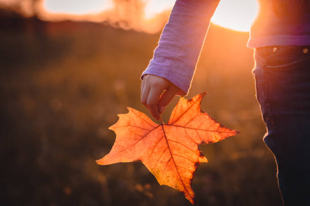 Photo of autumn leave in girl hand, selective focus