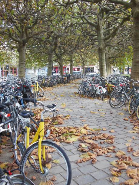 Autumn leaves and bicycles stock photo