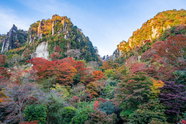 Photo of autumn leaves in the mountains, yabakei, oita, japan