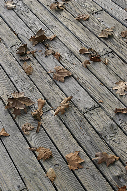 autumn leaves on boardwalk stock photo