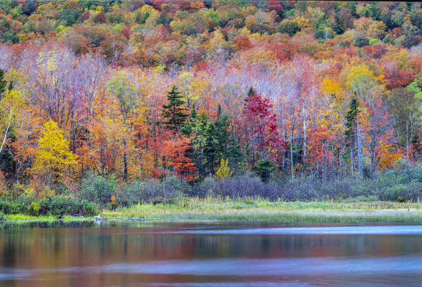 Autumn on the swift river stock photo