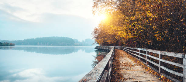 霧の湖のそばの木道。霧の中で太陽が輝く早朝の眺め。