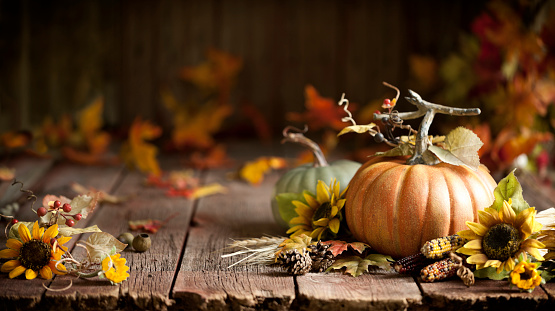 Autumn Thanksgiving pumpkin and leaf arrangement on old wood background