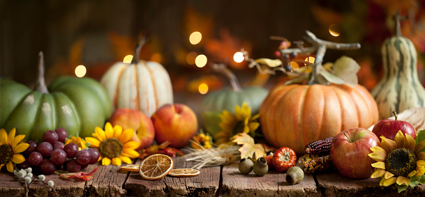 Autumn Thanksgiving pumpkin and leaf arrangement on old wood background with very shallow depth