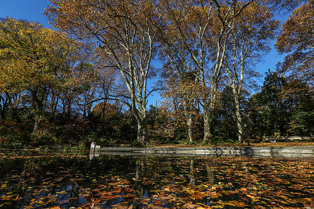 Autumn Reflection - New York stock photo