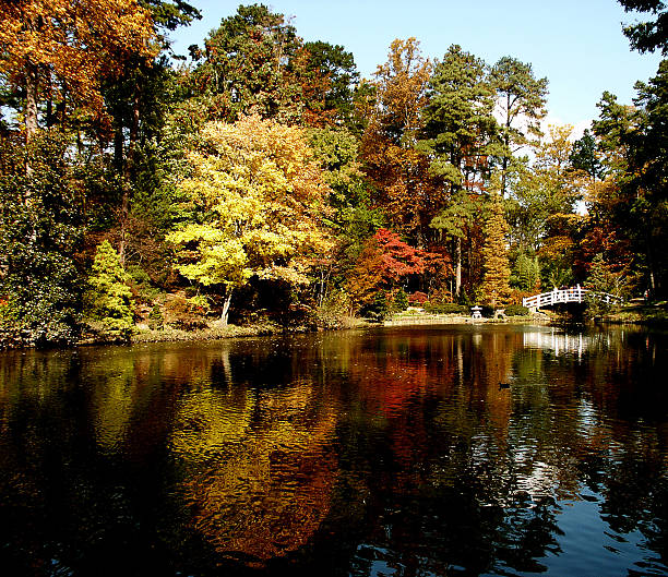 Autumn Reflections & Bridge stock photo