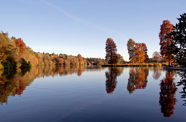Autumn Reflections stock photo