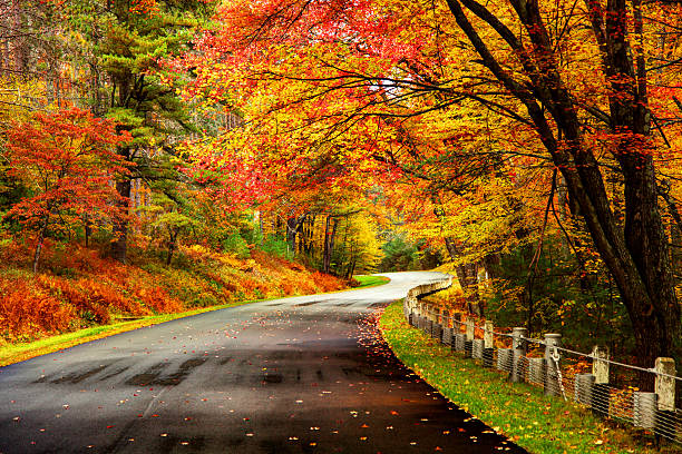 Autumn road in the Quabbin Region of Massachusetts