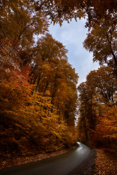 Autumn scenery in Krushevo stock photo