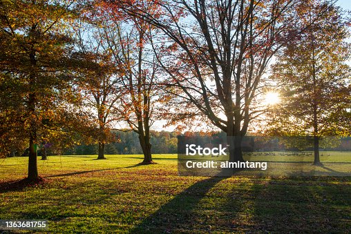 istock Autumn scenery 1363681755