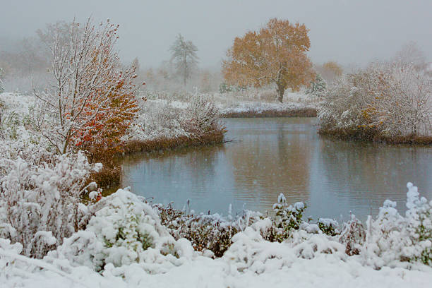 Autumn snowfall over pond stock photo